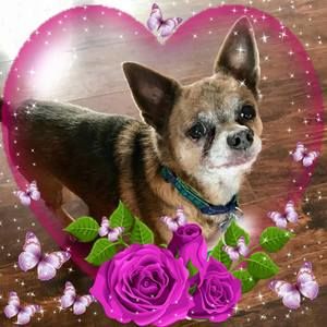 Meet your Posher, Vickie